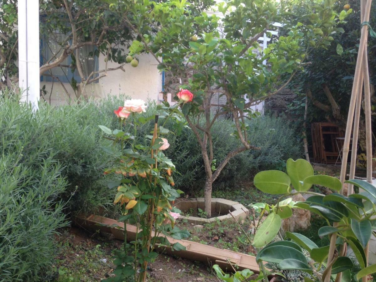 La Casa Del Limoneto Bed & Breakfast Favignana Exterior photo